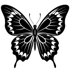 Butterfly Silhouette vector with white background