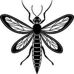 Mayfly Silhouette vector with white background