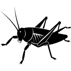 Bush cricket Silhouette vector with white background