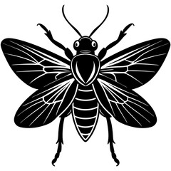 Strepsiptera Silhouette vector with white background