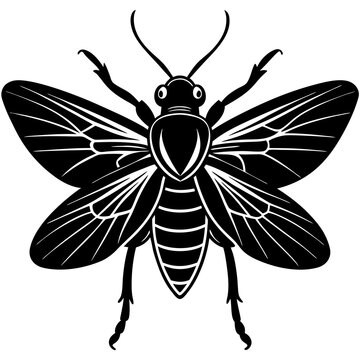 Strepsiptera Silhouette vector with white background
