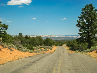 A road with a tree on the side of it