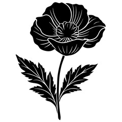 Poppy Silhouette vector with white background