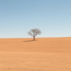 Fototapeta premium A tree without leaves in an endless.