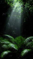 Lush Rainforest Sunbeams  Tropical Jungle  Ferns  Sunlight