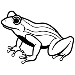 Frog Line art vector with white background