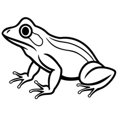 Frog Line art vector with white background