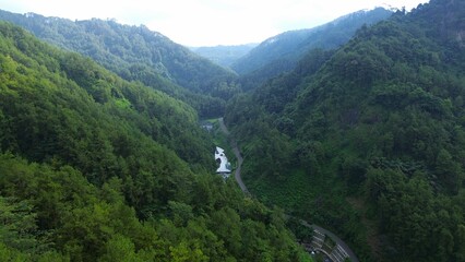 Fototapeta premium Road by a flowing river, in the middle of forests and hills with lush trees in Sempor Kebumen Central Java