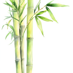Serene watercolor painting of bamboo stalks and leaves. Tranquil nature scene.