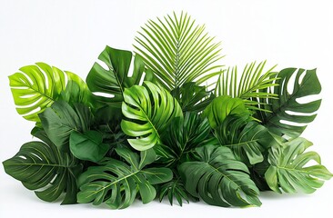 Lush Tropical Greenery: A Vibrant Collection of Artificial Monstera and Palm Leaves Against a Clean White Background