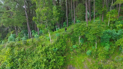 A man on top of a hill with lush forests and pine trees is enjoying the beautiful natural scenery