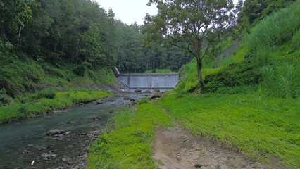 Waterfall in the middle of trees and green vegetation and some in the middle of a tropical forest