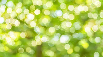 Fototapeta premium Soft Green Bokeh Background with Bright Sunlight Effect