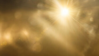 黄金の光　穏やかに差し込む太陽の輝き