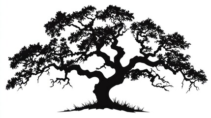 Fototapeta premium Majestic oak silhouette, park setting, peaceful nature, design element