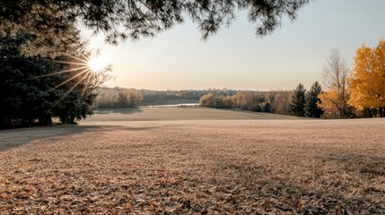 Golden Autumn Sunset Landscape  Park  Trees  Fall Foliage  Meadow