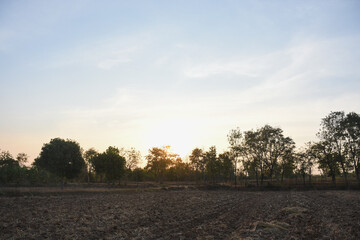 landscape with a field in the foreground and a line of trees in the background. The sun is either rising or setting, casting a warm glow over the scene.