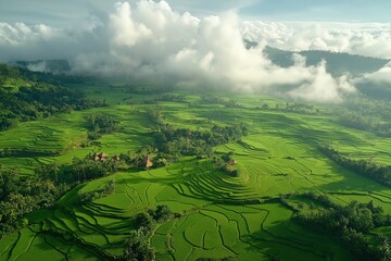 Obraz premium Lush green rice terraces under a cloudy sky in a rural landscape at dawn