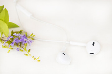 earphone connect listen mobile phone arrangement flat lay style on background white