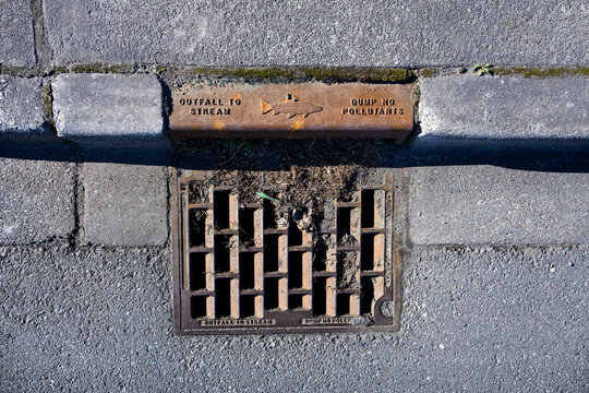 Old weathered storm drain on an asphalt road and cement curb, marking with fish shape and outfall to stream and dump no pollutants, tree debris on grate
