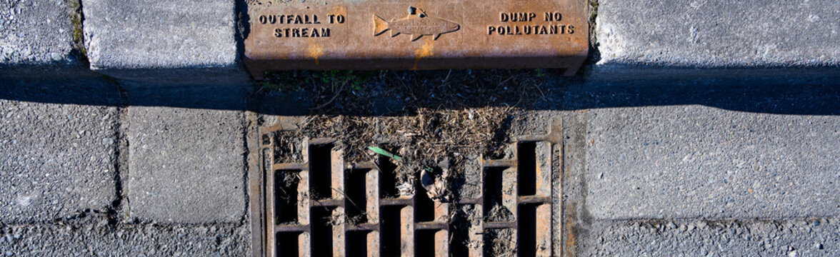 Old weathered storm drain on an asphalt road and cement curb, marking with fish shape and outfall to stream and dump no pollutants, tree debris on grate
