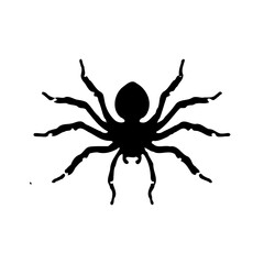 Obraz premium Isolated Spider Black Silhouette Illustration Vector