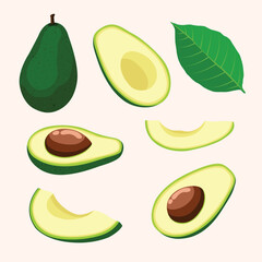 Fruit, Avocado, Tropical Fruits, Set of Vector Illustrations