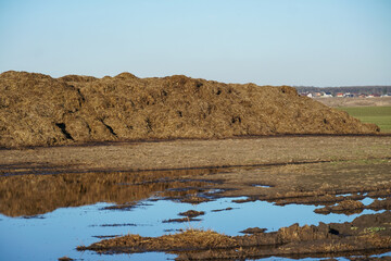 A rural farm using traditional soil fertilization methods