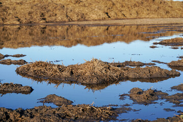 Sunlit farmland with manure heaps, a key step in crop cultivation