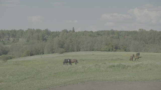 Latgale of Latvia in the month of May