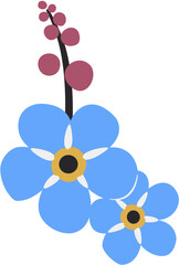 Forget me nots, Myosotis, Scorpion grasses