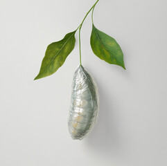 illustration of a silky, shiny cocoon hanging from a green leaf, depicted a plain white background, cocoon is smooth and translucent,texture that catches the light.visible veins and a fresh