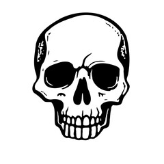 Anatomical Skull Illustration in Black and White