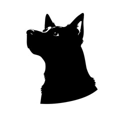 Black dog silhouette portrait looking up minimal