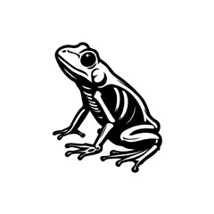 Detailed Frog Skeleton Illustration on White Background