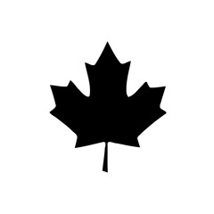 Black maple leaf silhouette on a white background