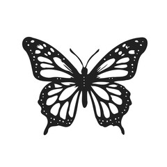 Detailed Butterfly Illustration in Black and White