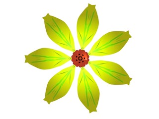 Simple flower design isolated with white background 