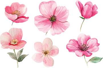 collage of pink flowers