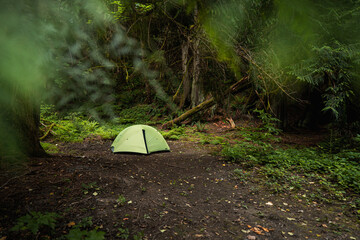 A serene green camping tent located in a secluded forest clearing, surrounded by vibrant greenery. Perfect for showcasing tranquility, outdoor lifestyle, and nature exploration.