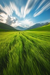Fototapeta premium Green grassy field, blurred motion, long exposure