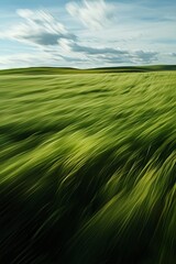 Obraz premium Green grassy field, blurred motion, long exposure