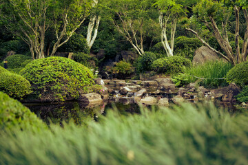 Japanese garden with pond