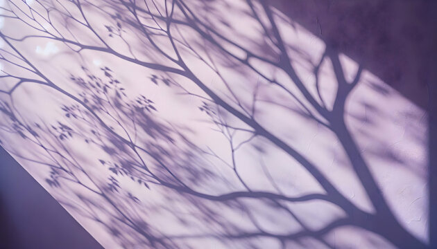 Background texture A pale lavender wall with intricate tree shadows dancing across the surface The soft, muted tones of2