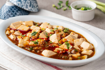 sichuan mapo tofu or Mapo doufu, Chili Tofu, traditional chinese dish
