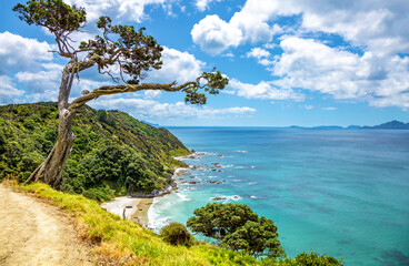 Mangawhai Heads Beach, North Island, New Zealand, Oceania.