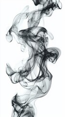Fototapeta premium Elegant Black Smoke Swirls on White Background Abstract Art