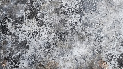 Obraz premium Textured Surface with Grunge Aesthetic and Natural Weathering Effect