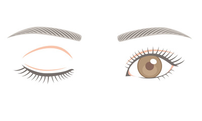 Human eyes with eyelashes, open and closed. Vector illustration isolated on white background.