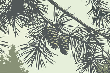 A close-up photograph of a pine tree branch, with several pine cones scattered among the needles. The needles are dark green and have a glossy texture, while the pine cones are brown and have a rough 